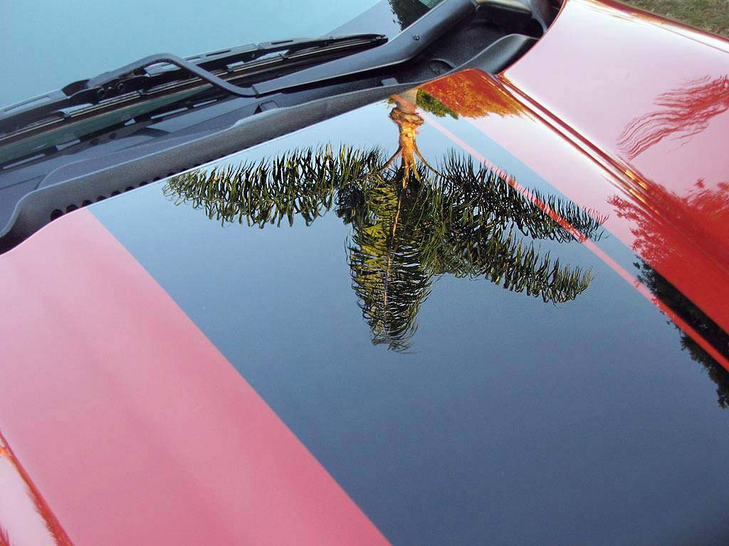 A Miracle Detailing - Paint Polished